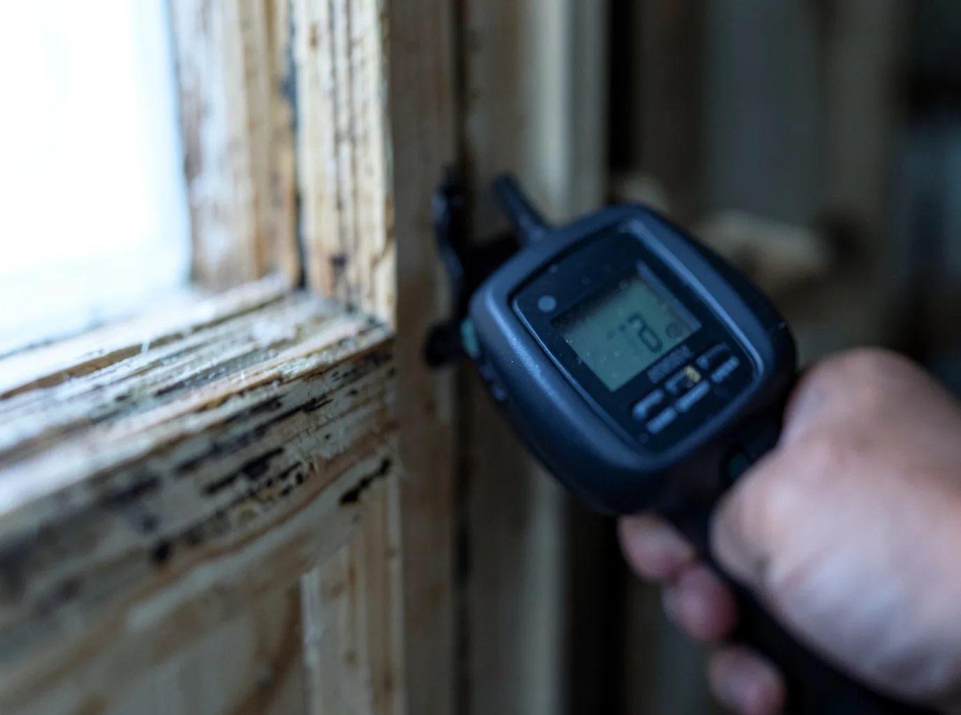 Moisture Inspection And Documentation in Bee, NE